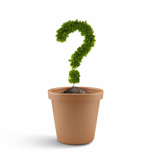 FAQ Image